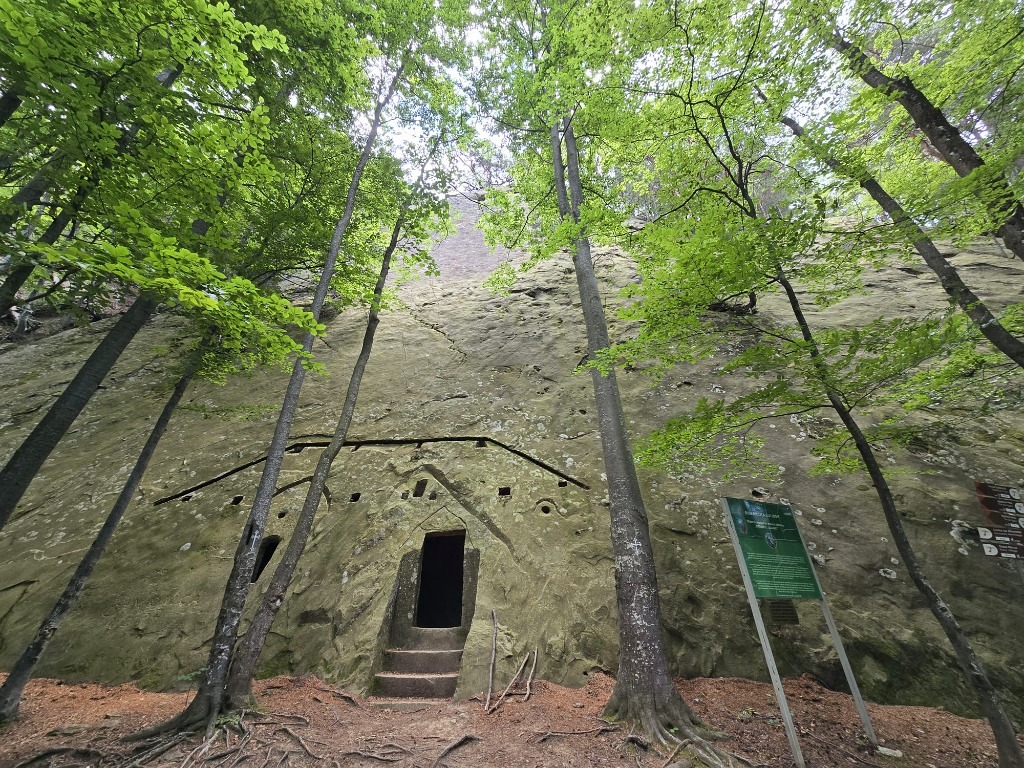 Rădăcini puternice, viitor durabil - patrimoniul natural și cultural din Ținutul Buzăului